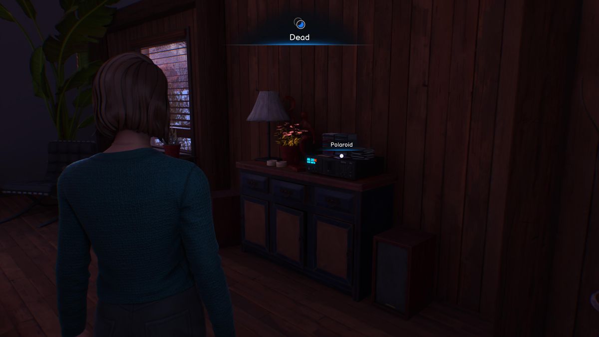 Life is Strange: Double Exposure Polaroid 4, chapter 2