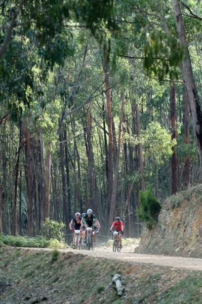 Riders climb through a section of the course.