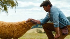 Hugh Jackman patting a sheep in The Sheep Detectives