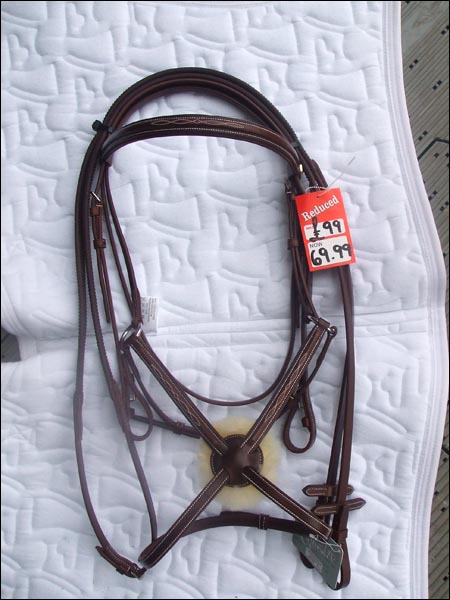 bridle1.jpg