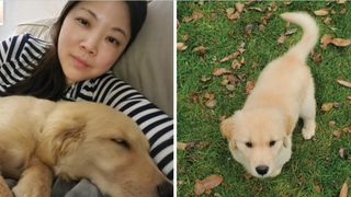 Photo of pandemic puppy Peggy curled up on the sofa with Nicole on the left and a photo on the right of Peggy outside on the grass