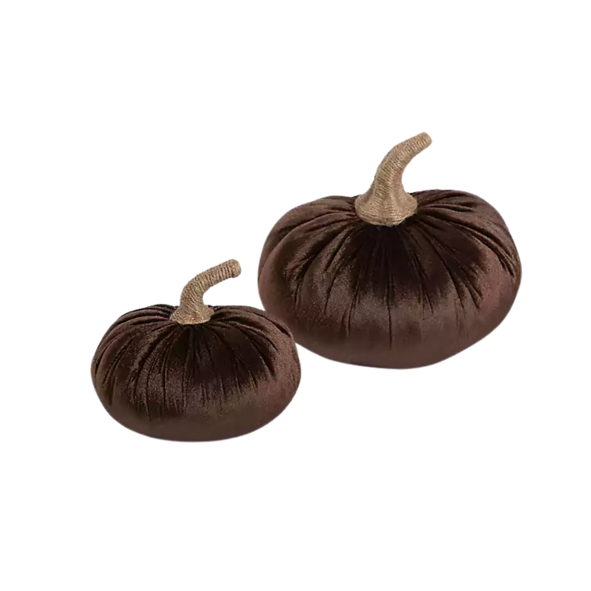 brown velvet pumpkins