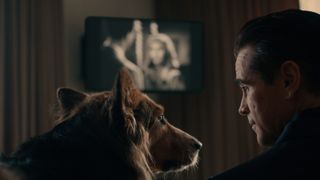 Colin Farrell and a dog in Sugar episode 3, on Apple TV Plus.