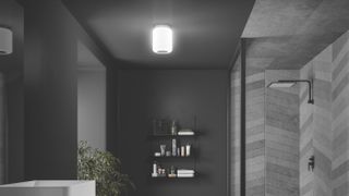 Bluetooth ceiling lighting - 2021 bathroom design trends