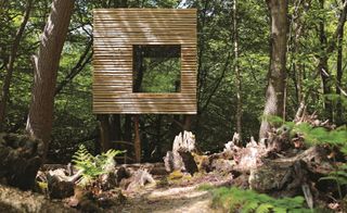 Exterior of Treehouse @ The Wood, by Jeremy Pitts, East Sussex, UK