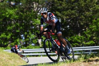 Vincenzo Nibali (Trek-Segafredo) at the Giro d'Italia