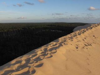 Sand Dune