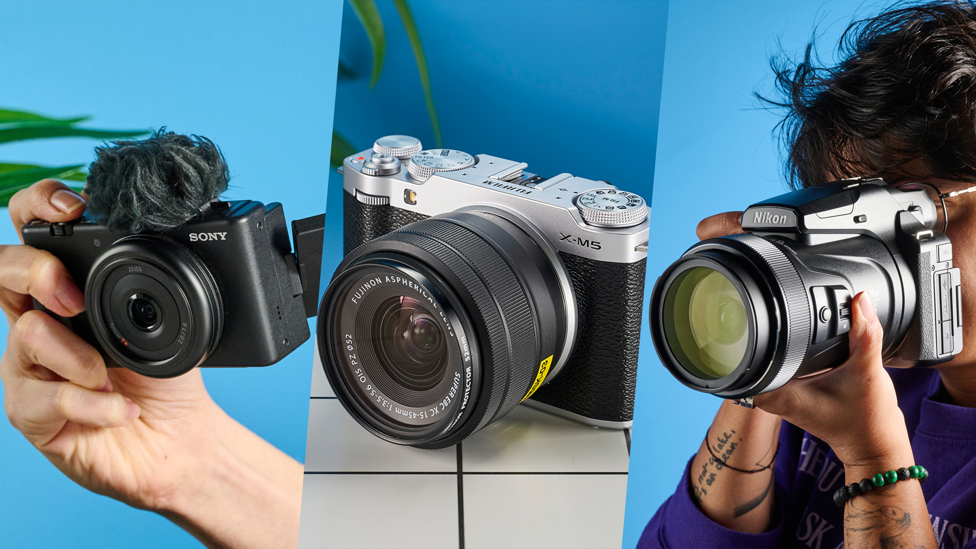 A selection of digital, mirrorless, and bridge cameras