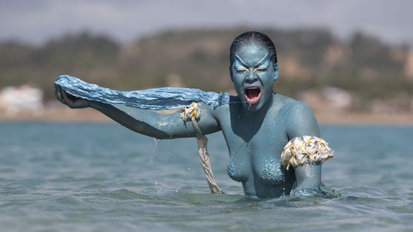 It&#039;s Not Easy Being Green exhibition image, produced by Artichoke