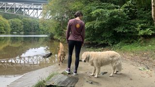 hiker with two dogs