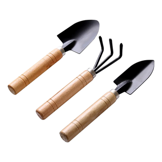 A set of three gardening tools