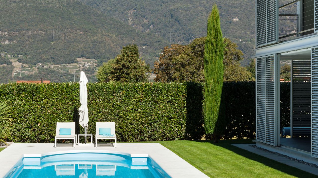 a backyard with a pool and privacy hedge in california