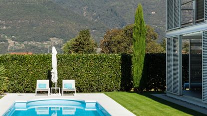 a backyard with a pool and privacy hedge in california