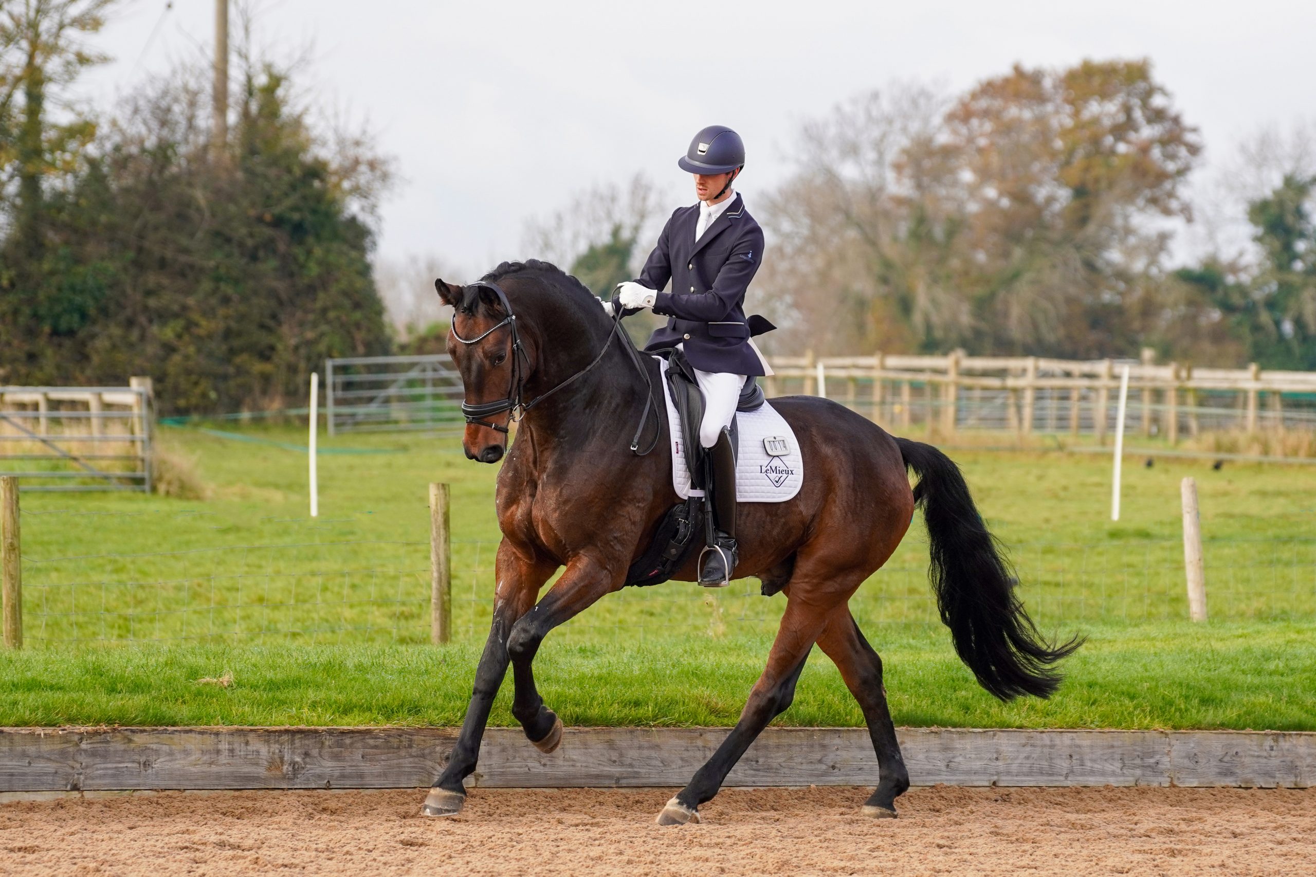 Lewis-Carrier-%E2%80%93-Forgio-HAPPY-HOOF-PICS-COMM1USE-1-scaled.jpg