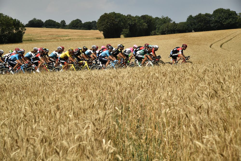 The peloton passes through a wheat field along the route of stage 7 at the Tour de France