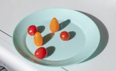 Image of tomatoes of different colours on a blue plate by Dan Ipp 2019