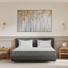 TEMPUR EASE mattress review