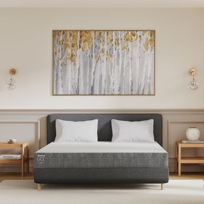 TEMPUR EASE mattress review