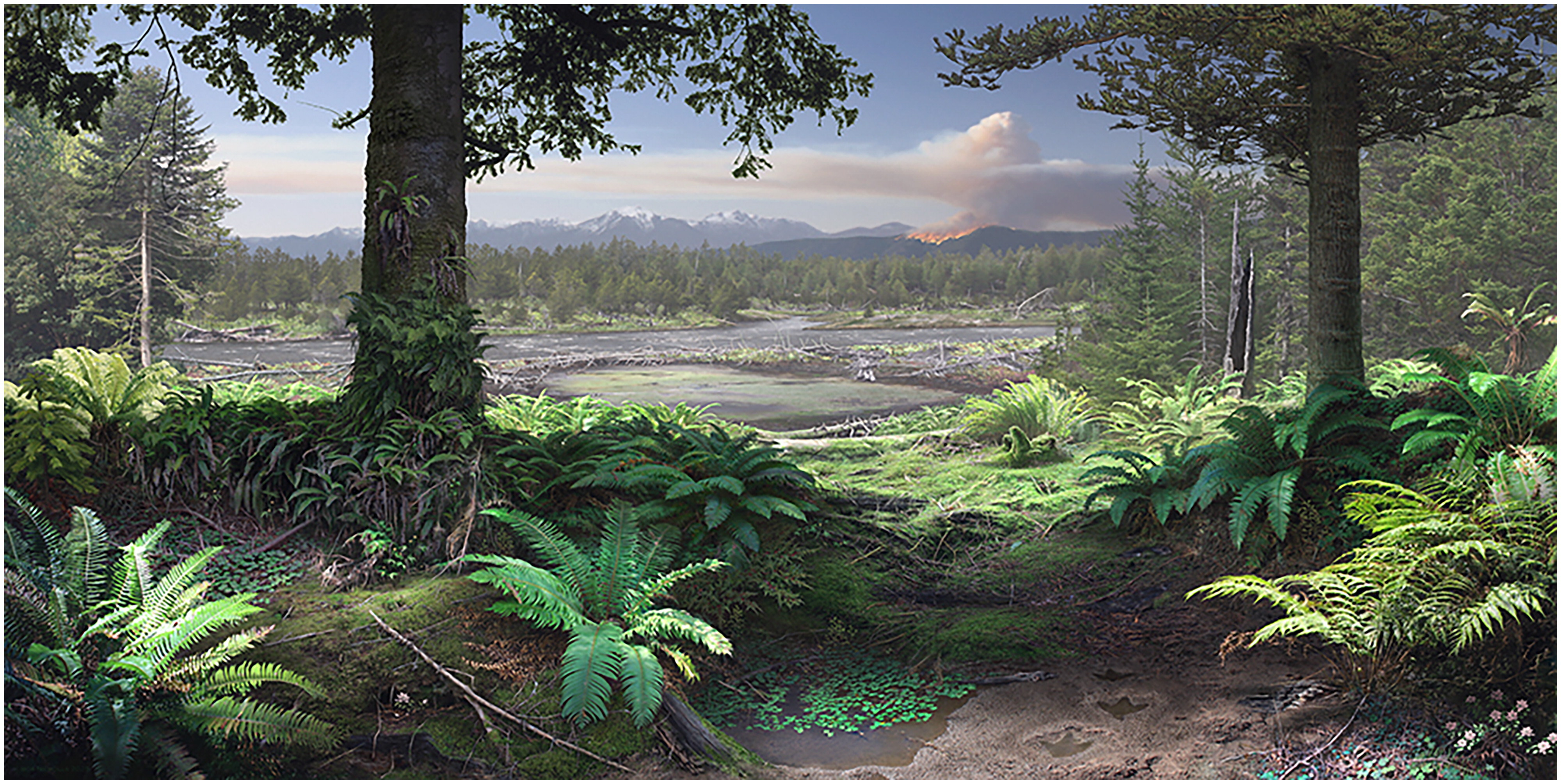 Reconstruction of forest and understory vegetation during the early Cretaceous in what is now southern Australia.