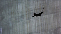 GoldenEye - Dam bungee jump