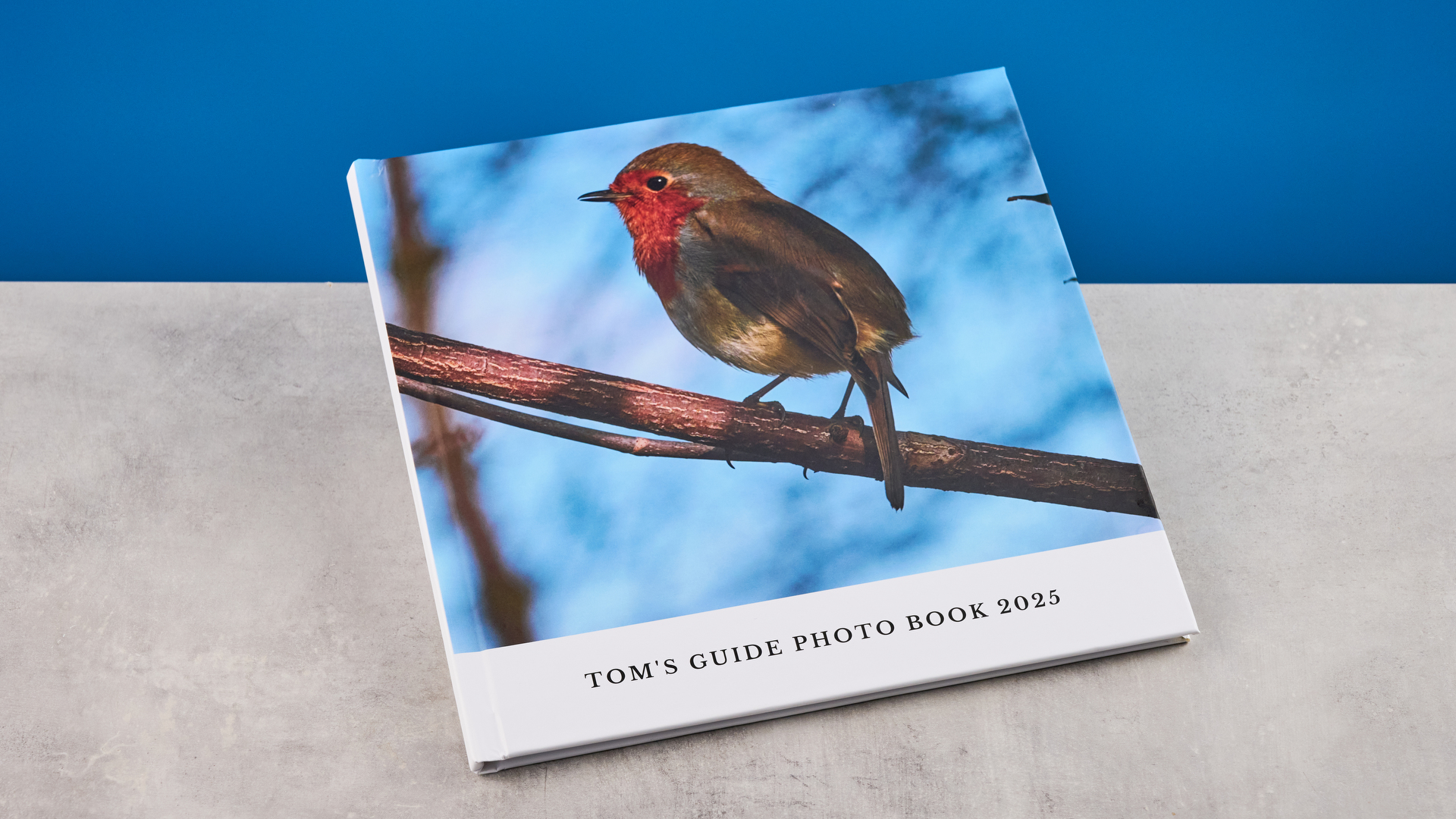 Images of Chatbooks photo book