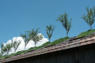 planted roof at Kodomari Fuji by Terunobu Fujimori