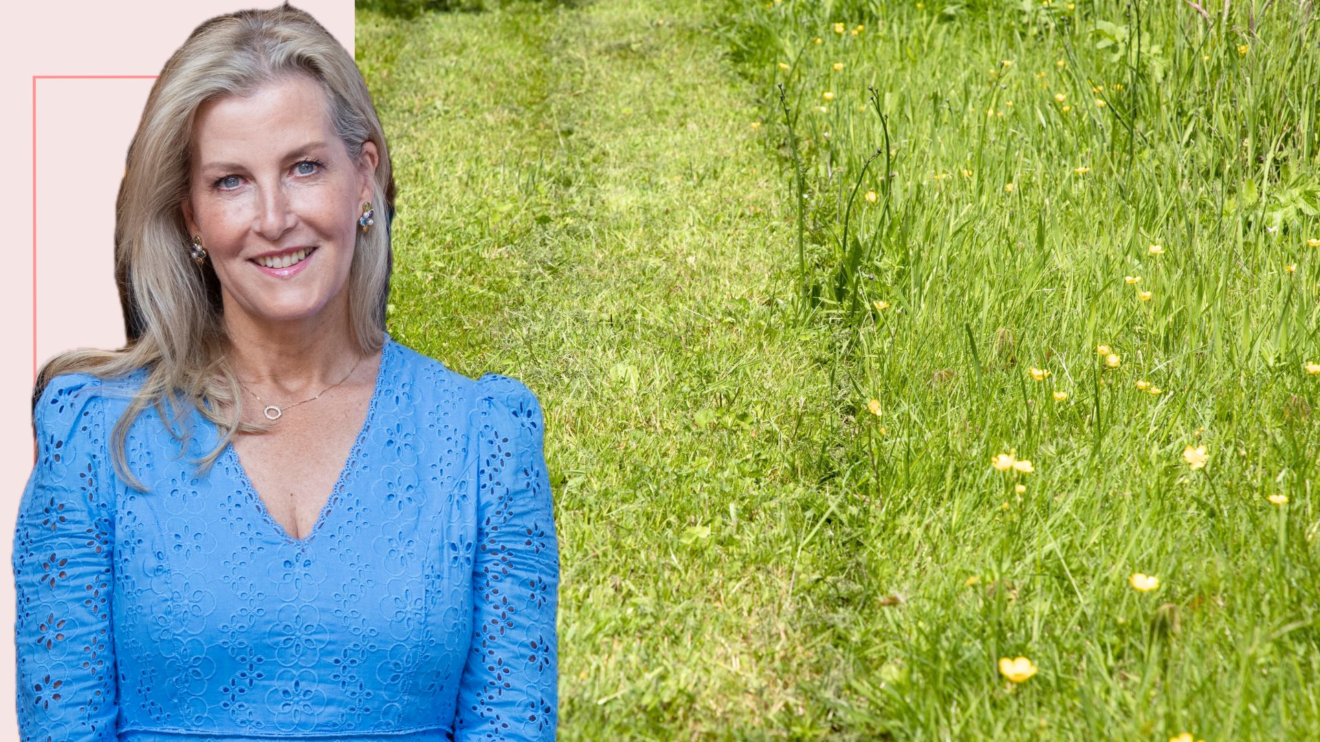 Duchess Sophie in a blue dress overlaid on an overgrown lawn to support no mow May