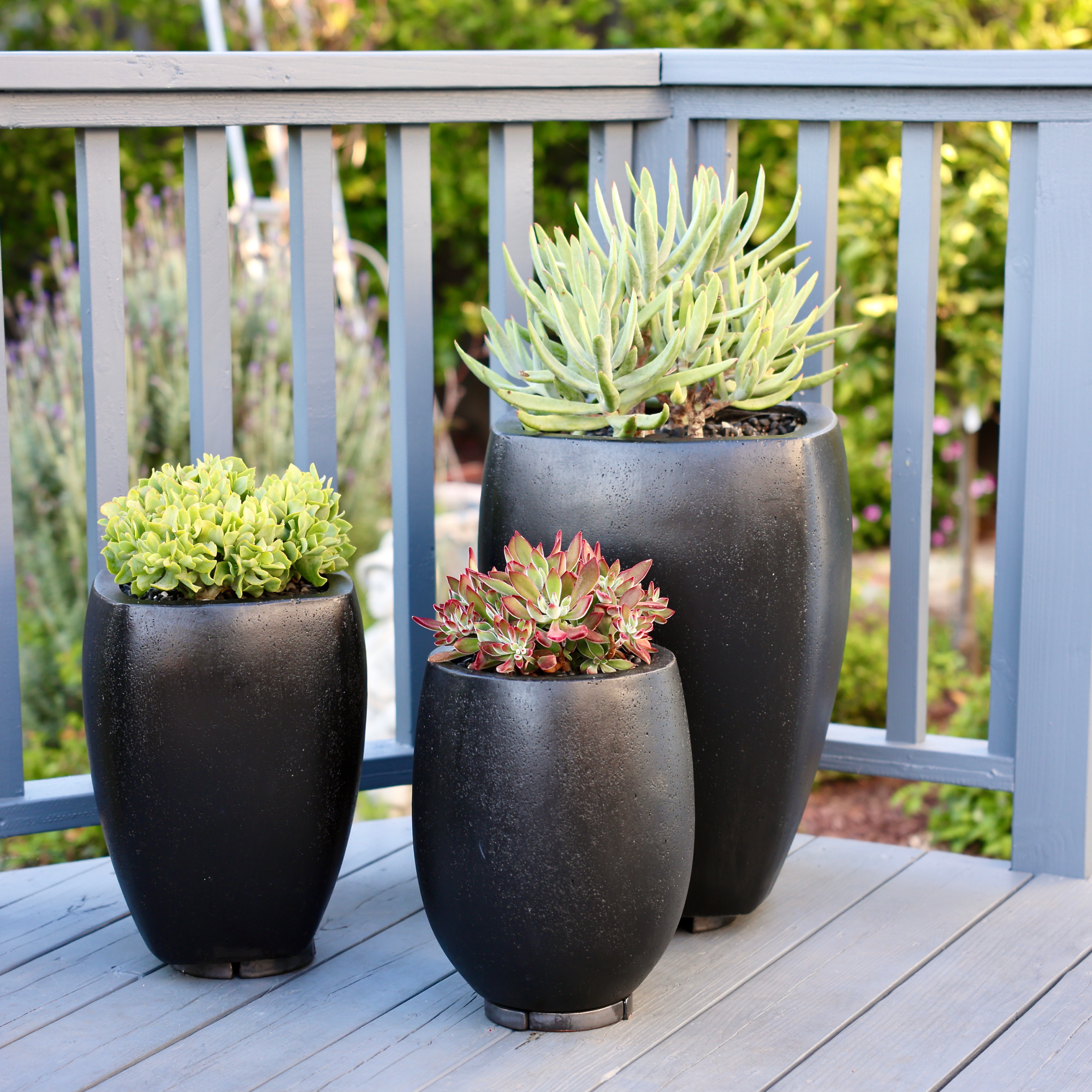 modern planters with succulents on porch