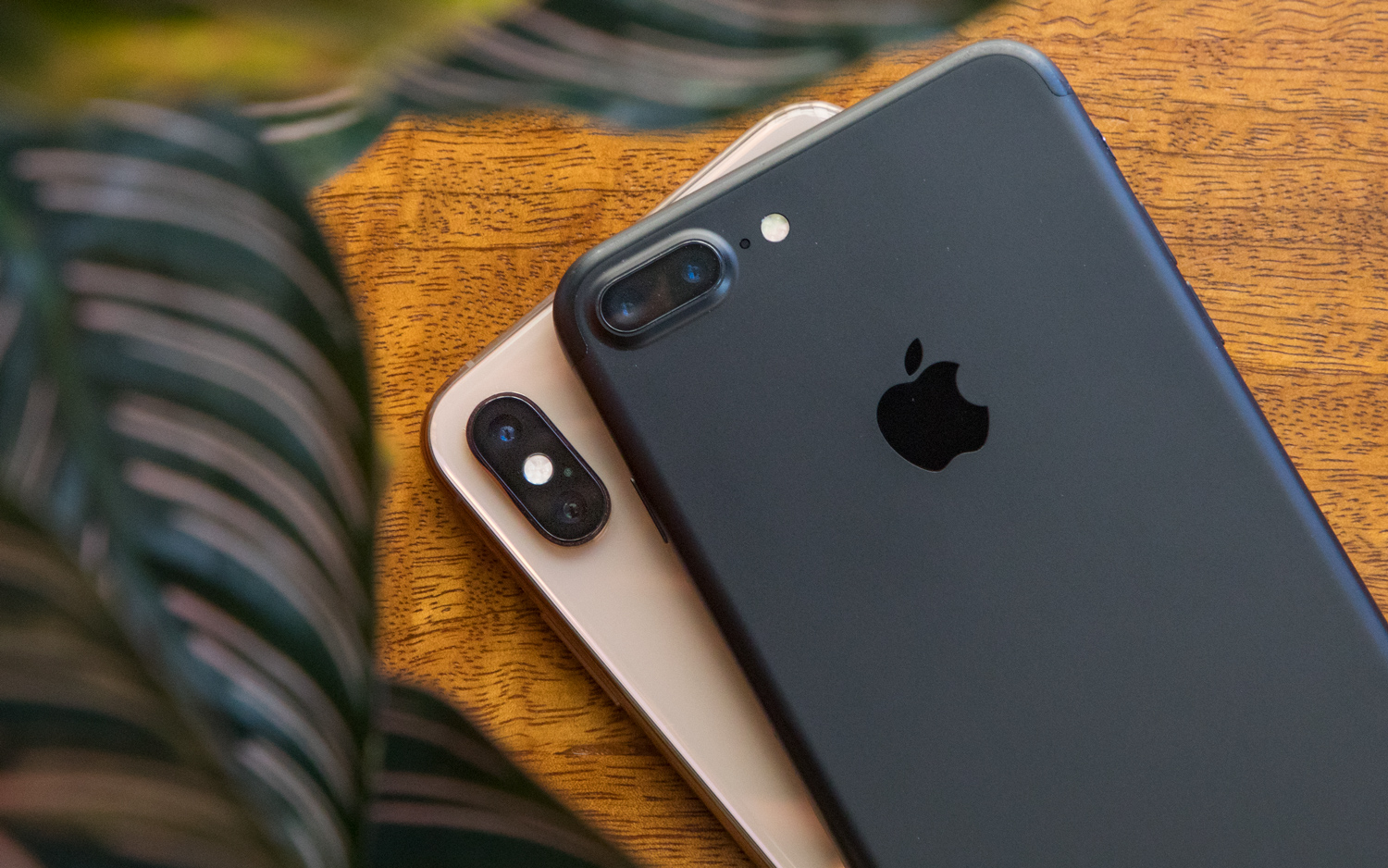 wapenkamer Editie Verschuiving iPhone XS Max vs. iPhone 7 Plus Camera Face-Off: How Much Better Is It? |  Tom's Guide