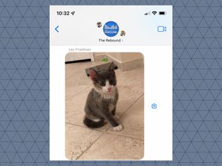 how to use visual look up in iOS 15 messages