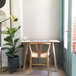 home office with white wall wooden desk and chair plant and lamp