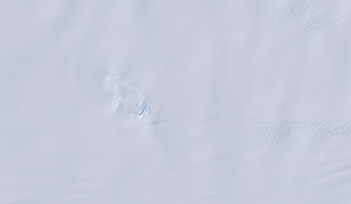 Satellite image depicting form of a bird in Antarctic ice surface.