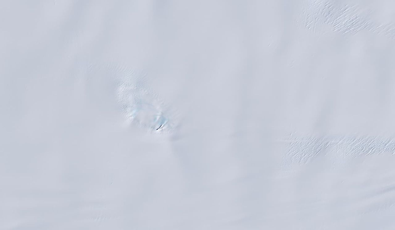 Satellite image depicting form of a bird in Antarctic ice surface.