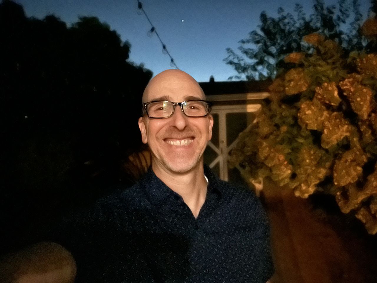 Apple iPhone 14 main camera night mode portrait