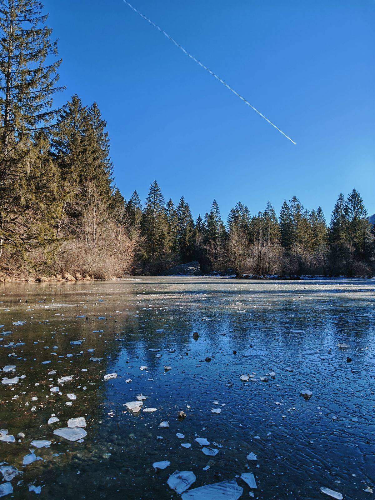 Frozen lake surrounded by tress with a blue cloudless sky