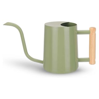 Cewor sage green indoor watering can on white background