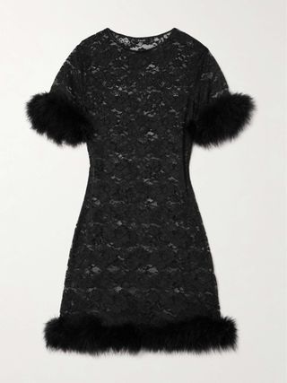 Feather-Trimmed Corded Lace Mini Dress