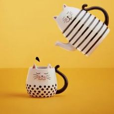 cat teapot with yellow background