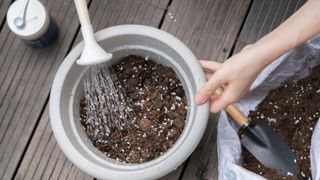 picture of woman watering pot of soil