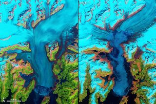This Landsat 5 image shows the Columbia Glacier in Alaska, one of many vanishing around the world. Glacier retreat is one of the most direct and understandable effects of climate change.