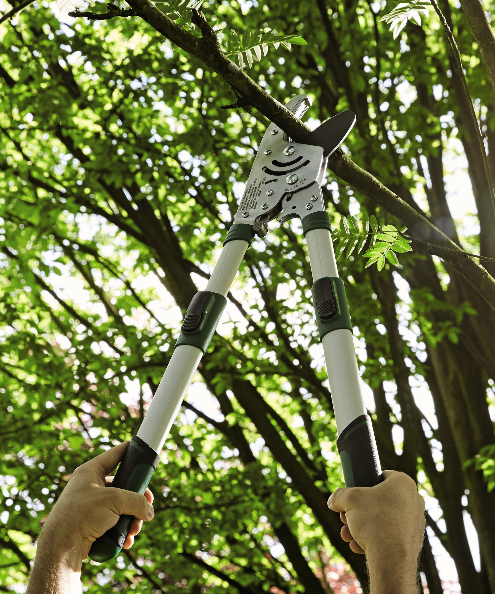 The new Aldi garden tool shed is under £100 Gardeningetc