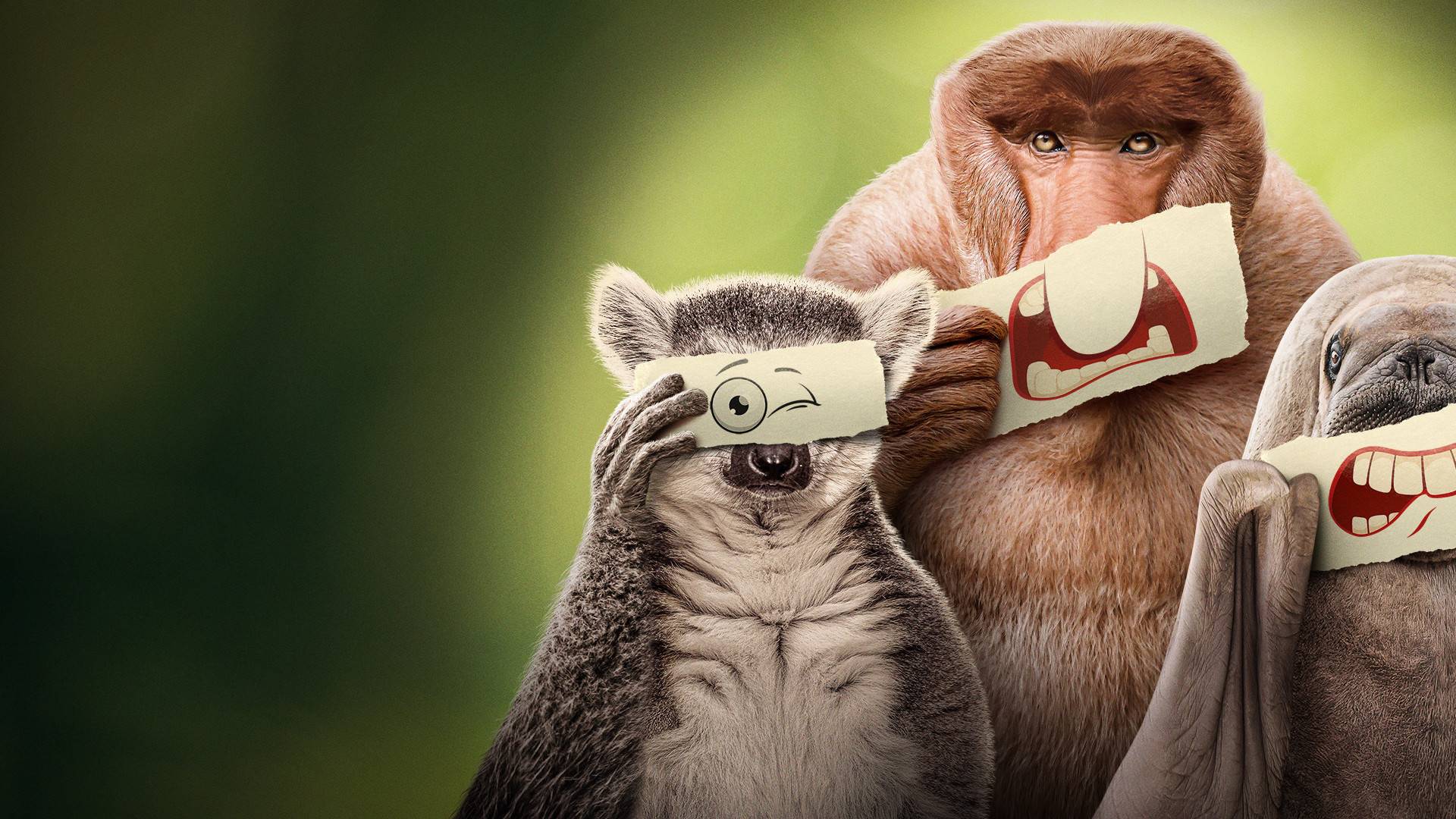 Three animals in a line-up for Nat Geo's TV show Underdogs.
