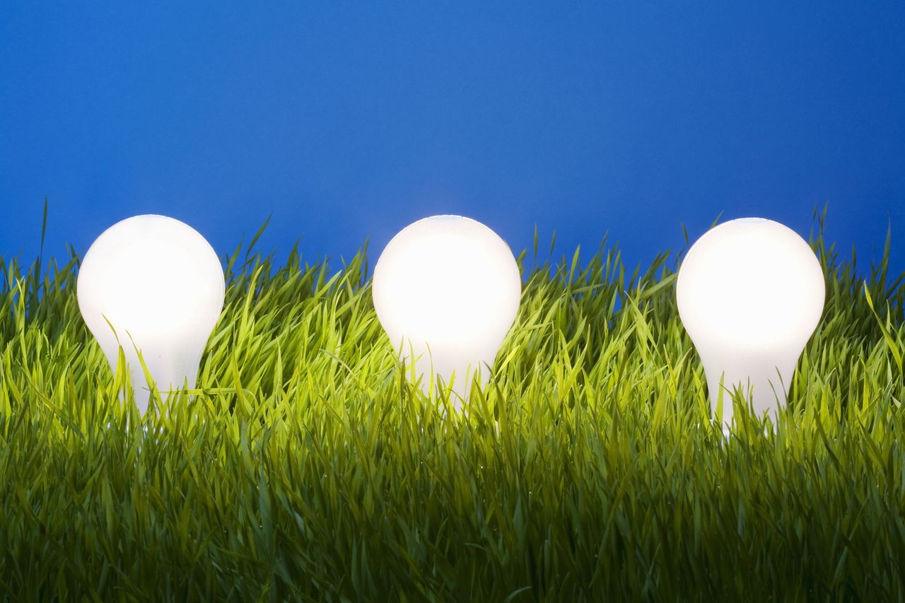 three light bulbs in grass