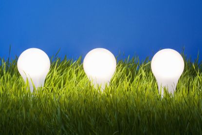 three light bulbs in grass