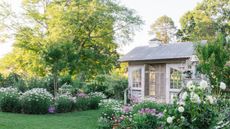 A wooden white garden building amongst big flower beds