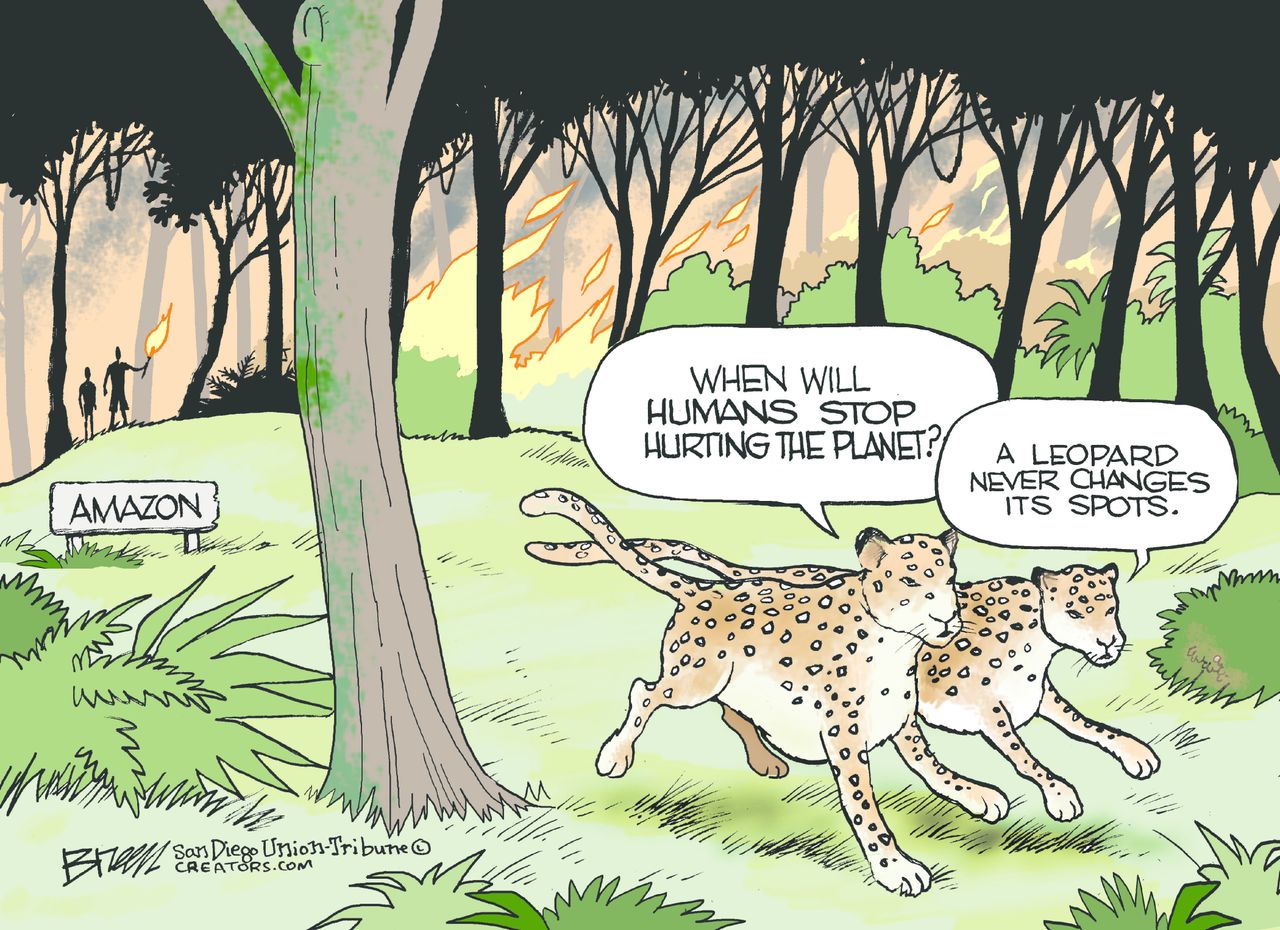 Political Cartoon U.S. Amazon Rainforest Burning Humans Hurting the Planet