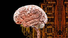 illustration of a brain in front of a orange, shiny circuit board design