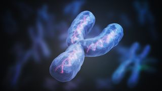 Illustration of human Y chromosome with DNA strands shown inside