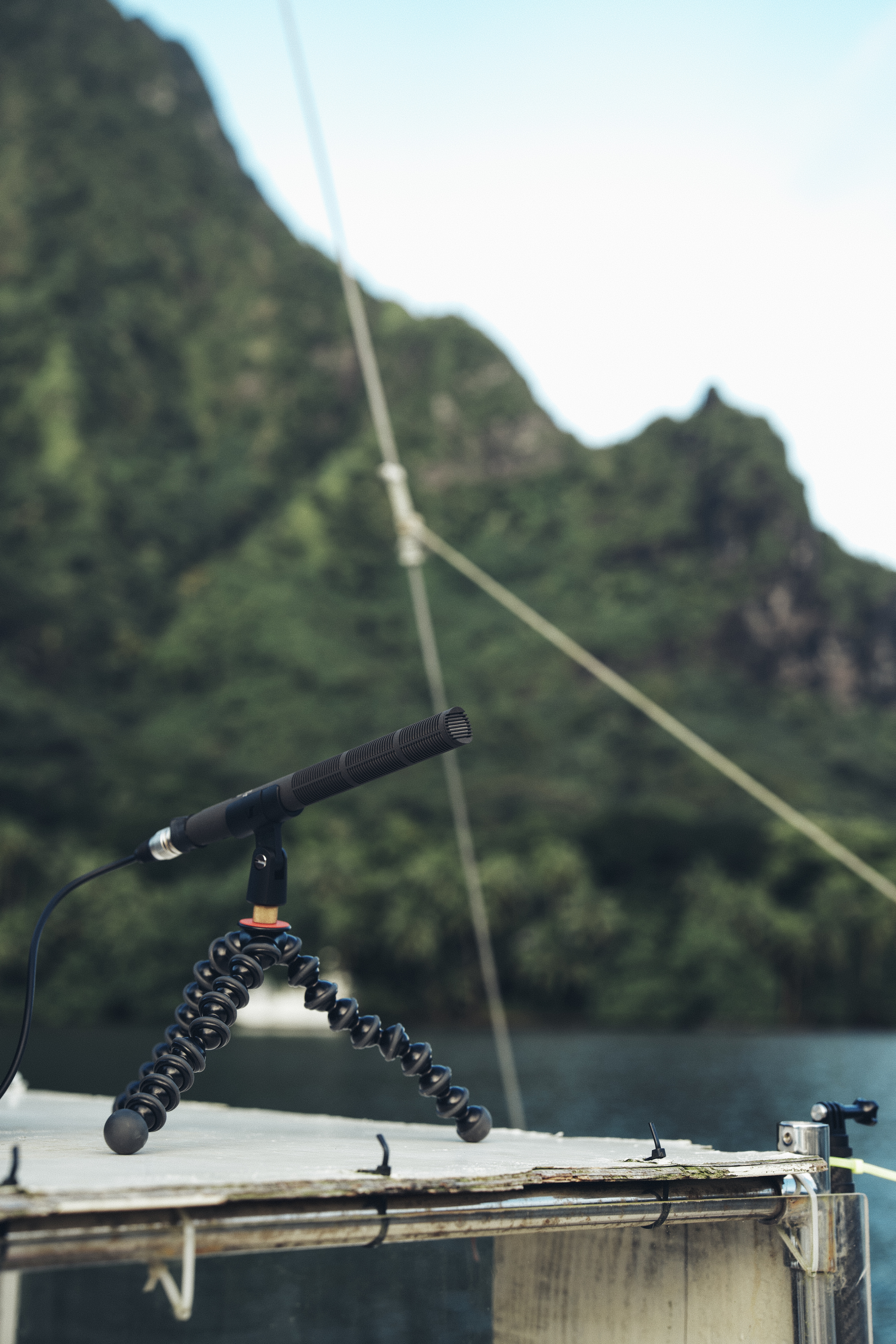 Beverly used an MKH 8018 to capture moving sound sources or effects like the wind in the sails.