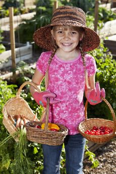 Child In A Garaden Holding Baskets Of Vegetables